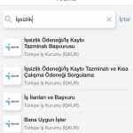 E-Devlet İşsizlik Maaşı Sorgulama Nasıl Yapılır?