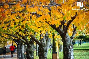 Andorra'da 2023'te Maaşlar ve Vergi Oranları