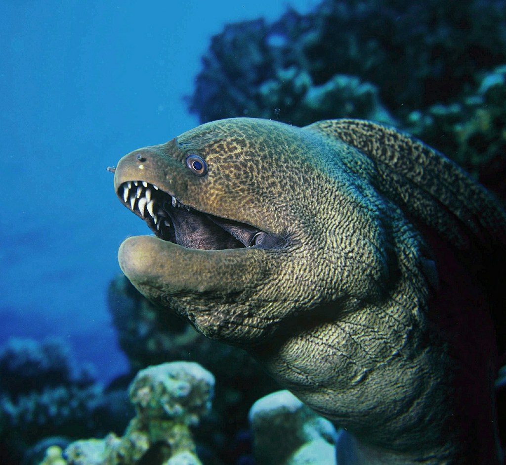 Anguilla Announces Plans to Increase Minimum Wage by 2023