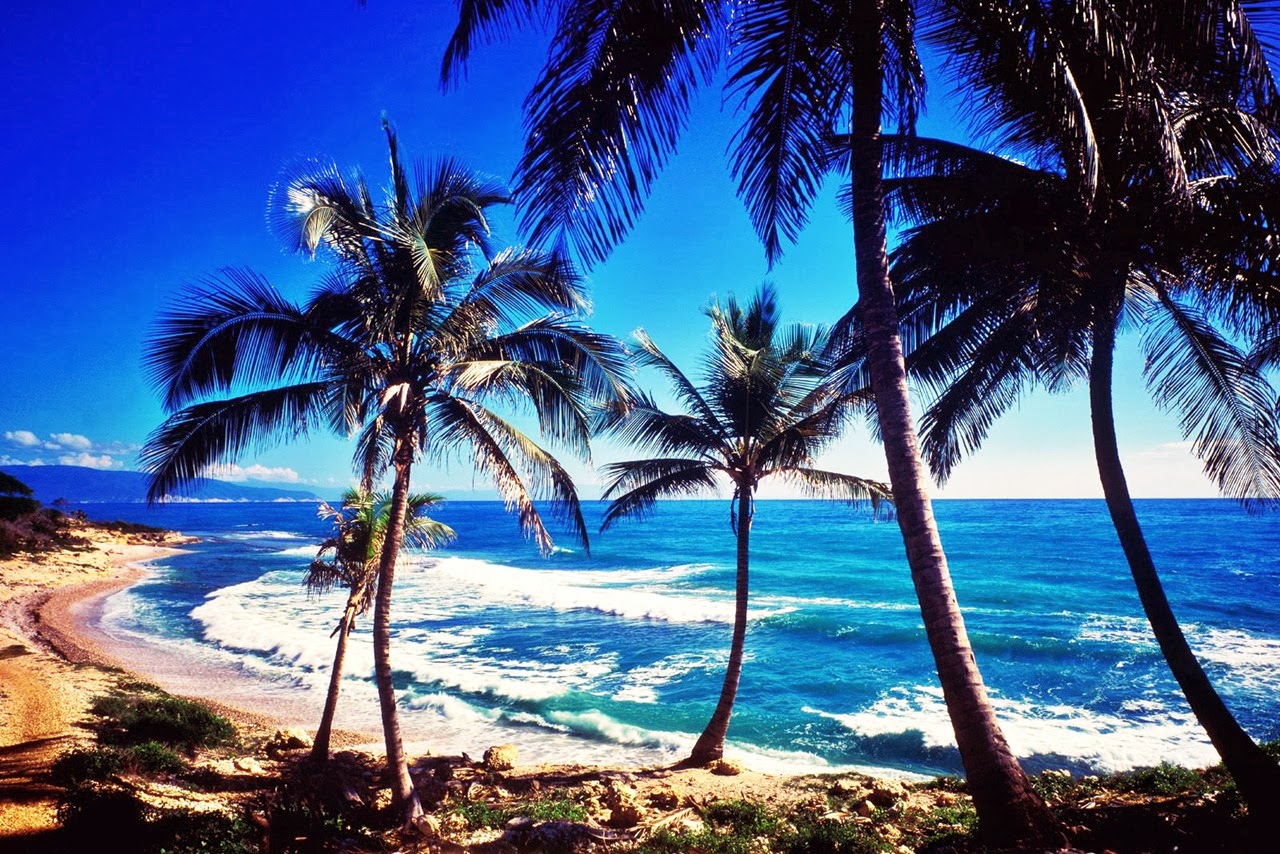 Dominik Cumhuriyeti Asgari Ücret ve Maaşlar 2023 4 Dominik Cumhuriyeti'nde Asgari Ücret Artışı: İşverenlerin Yükü Ne Kadar Olacak?