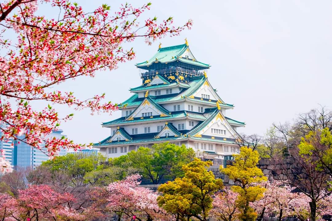 Japonya'da Asgari Ücretin Yükselmesi İşverenleri Nasıl Etkileyecek?