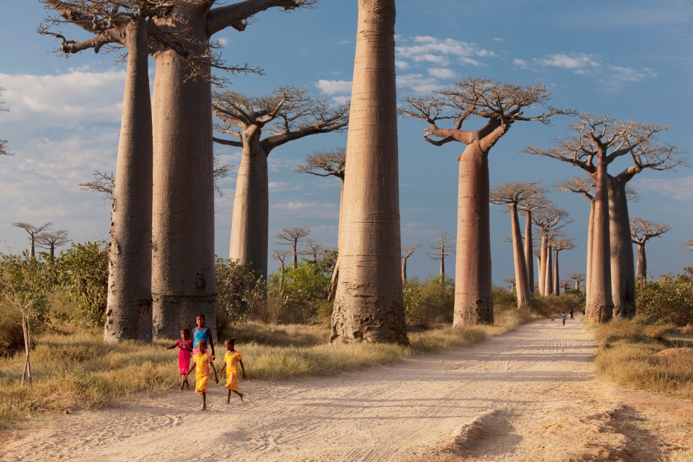 Madagaskar Asgari Ücret ve Maaşlar 2023 2 Madagaskar'da Asgari Ücret 2023'te Ne Kadar Olacak?