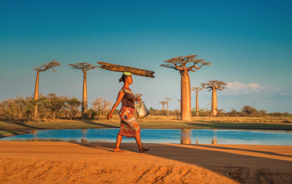 Madagaskar Asgari Ücret ve Maaşlar 2023 4 Madagaskar'da Asgari Ücret ve Maaşlar 2023'te Yükselişte mi?