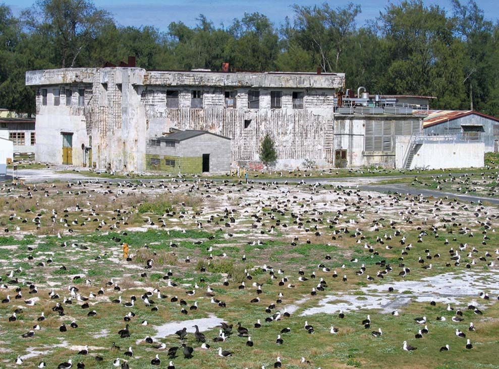 Midway Adaları, Amerika Asgari Ücret ve Maaşlar 2023 4 Midway Adaları'nda Turizm Sektörüne Yatırım Yapmak İçin 2023 Fırsatları