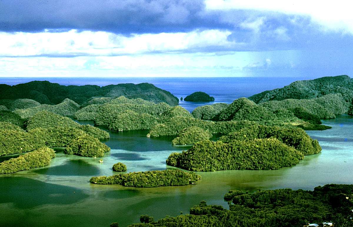 Palau Adaları Asgari Ücret ve Maaşlar 2023 2 Palau Adaları'nda Maaşlar 2023'te Artacak mı?