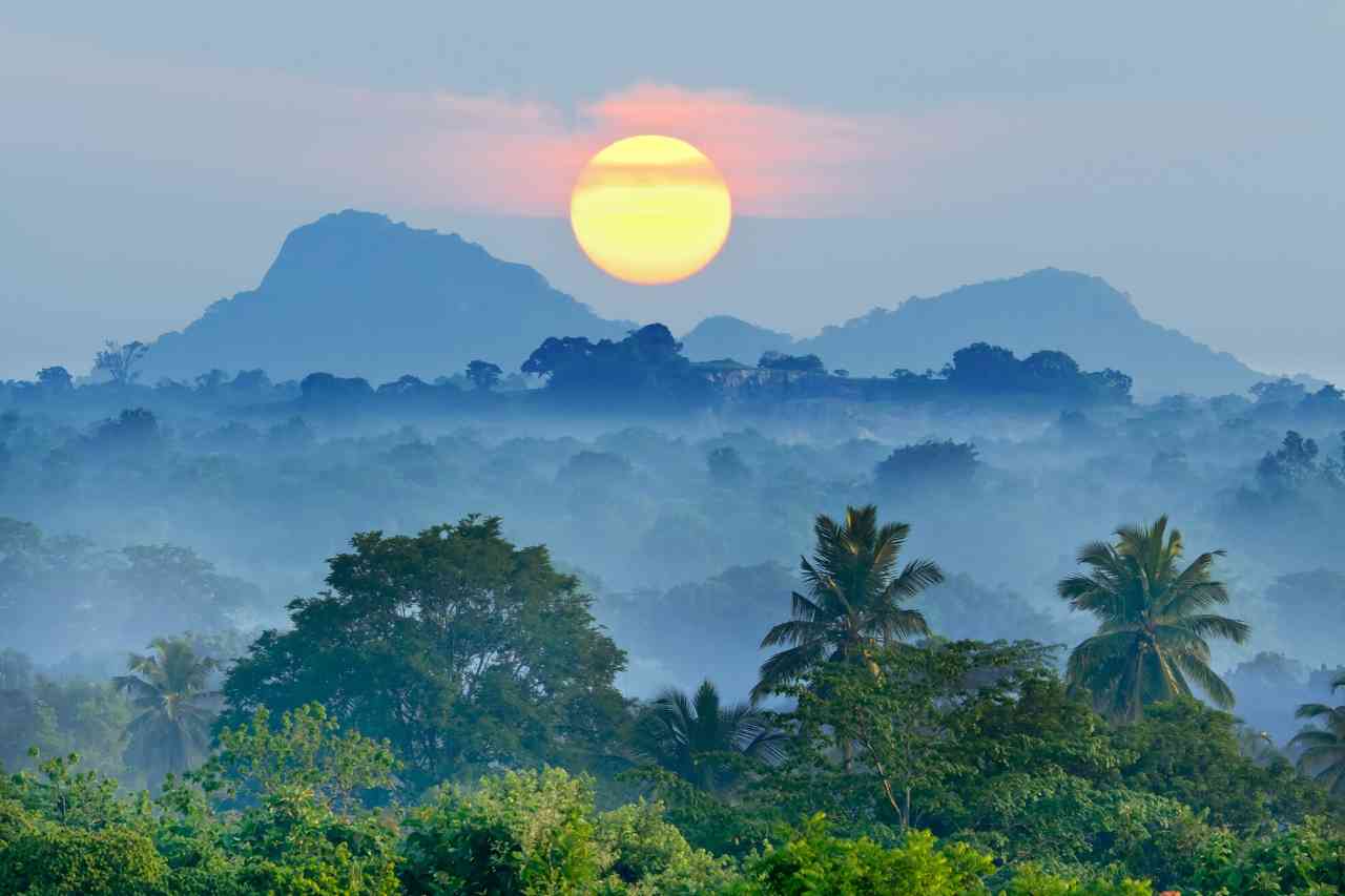 Sri Lanka'da Asgari Ücretin Artması İşverenleri Nasıl Etkileyecek?