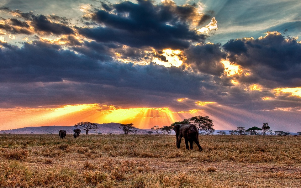 Tanzanya'da Asgari Ücret 2023'e Kadar Yüzde 20 Artacak