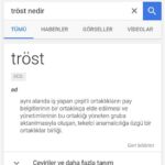 Tröst Nedir? 6 Tröst Nedir?