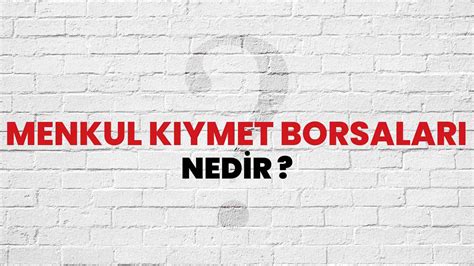 Menkul Kıymet Borsaları Nedir?
