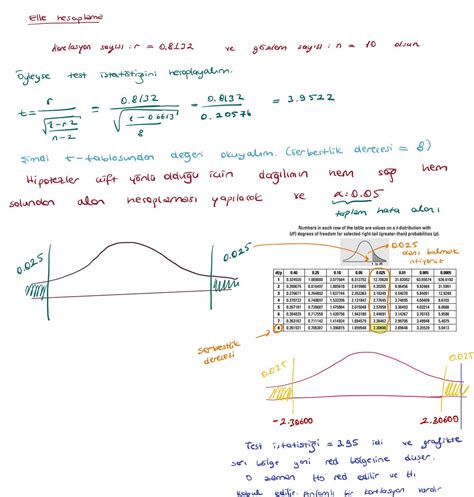 Korelasyon Nedir? Korelasyon Çeşitleri Nelerdir?