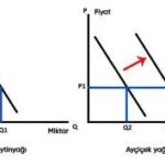 İkame Mal ve Tamamlayıcı Mal Nedir?
