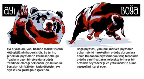 Boğa Piyasası Nedir? Borsada Boğa