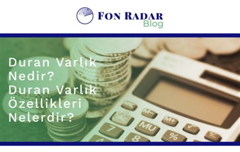 Duran Varlık Nedir?