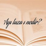 Ayı Tuzağı Nedir?