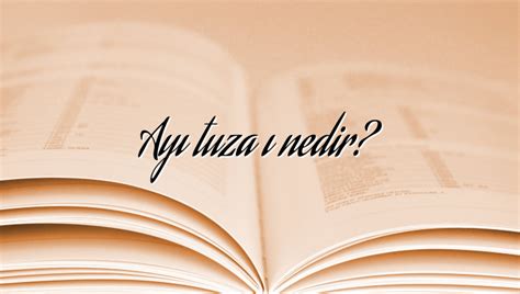 Ayı Tuzağı Nedir?