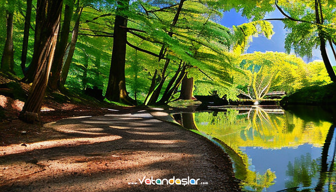 Yürüyüş ve Meditasyon